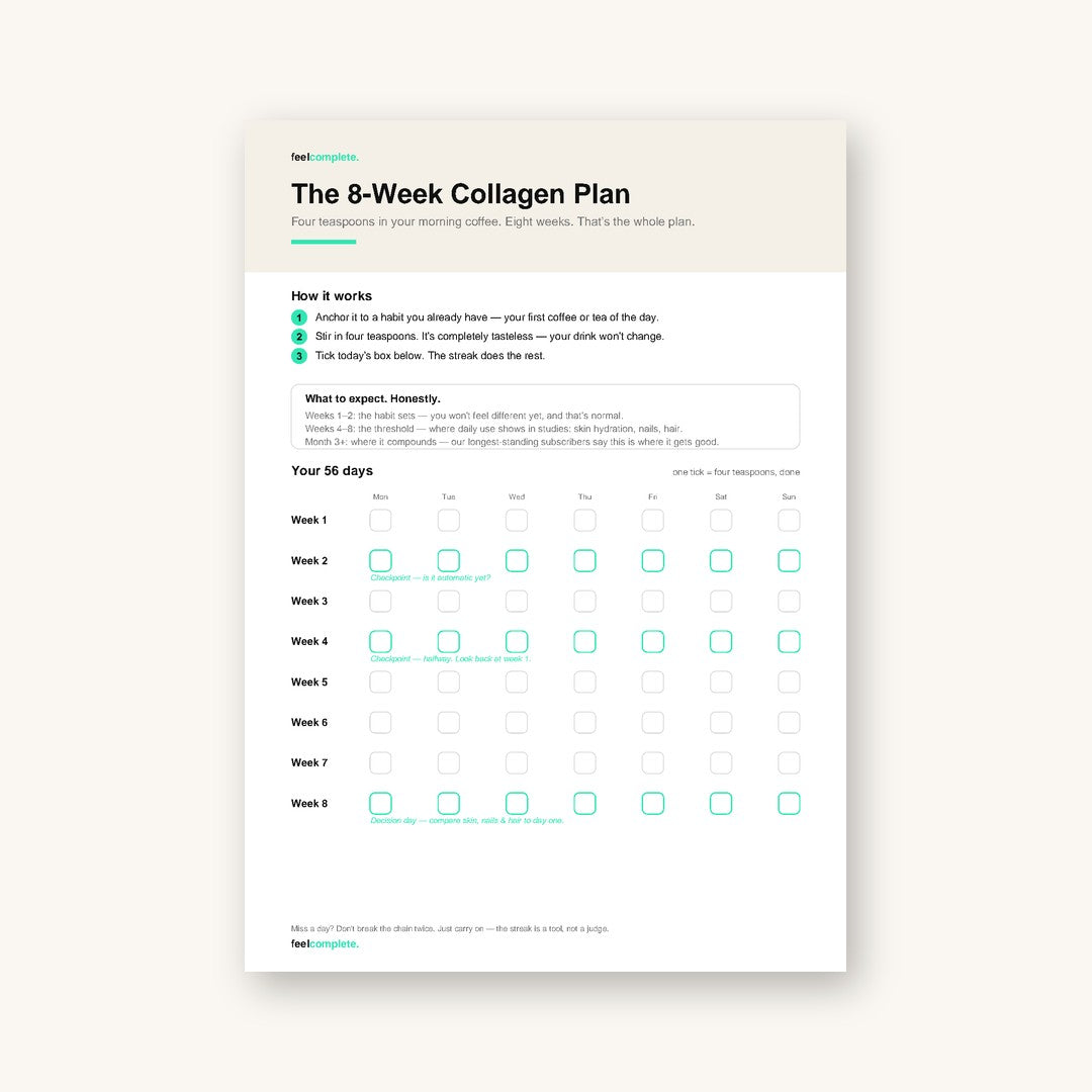 The 8-Week Plan